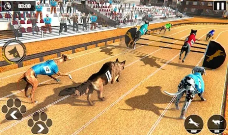 Giao diện chơi game nhanh Đua Chó tại 68Win