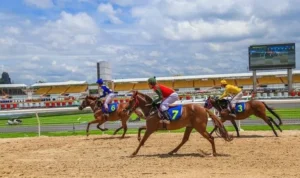 Đua Ngựa 68Win